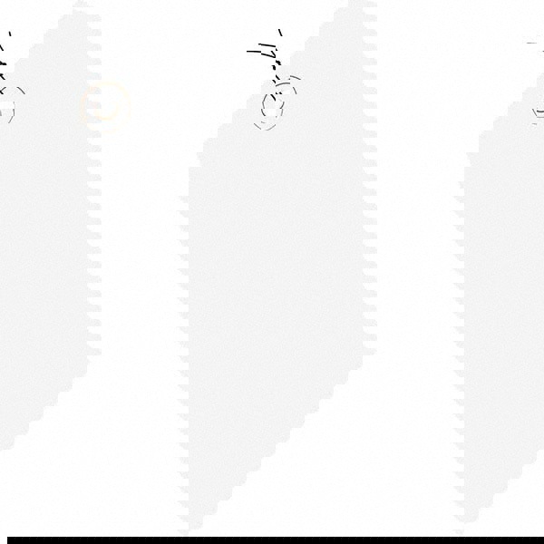 Blank Tag: 2-3/4'' High, White, Synthetic Paper